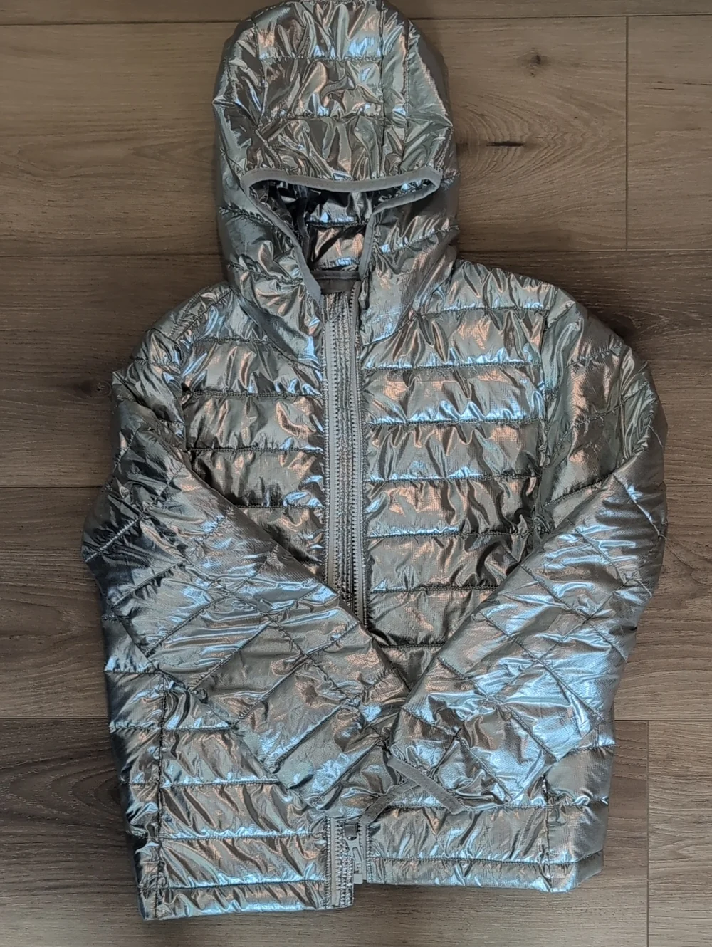 Primary Metallic Silver Hooded Puffer Jacket